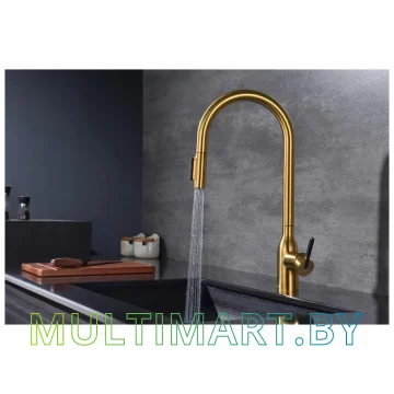 Смеситель Paulmark Universal Un213880-BG (брашированное золото) картинка 5